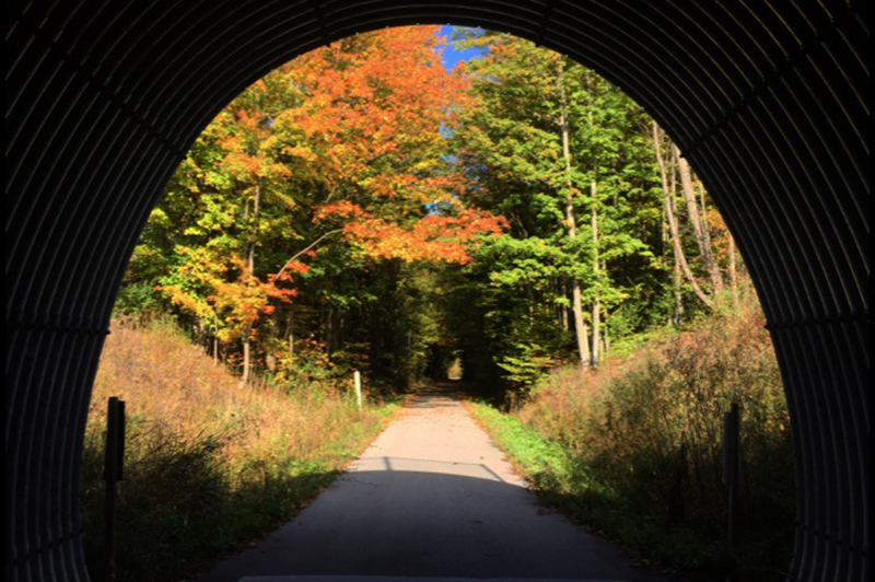 Fred Meijer White Pine Trail State Park - Entire Trail